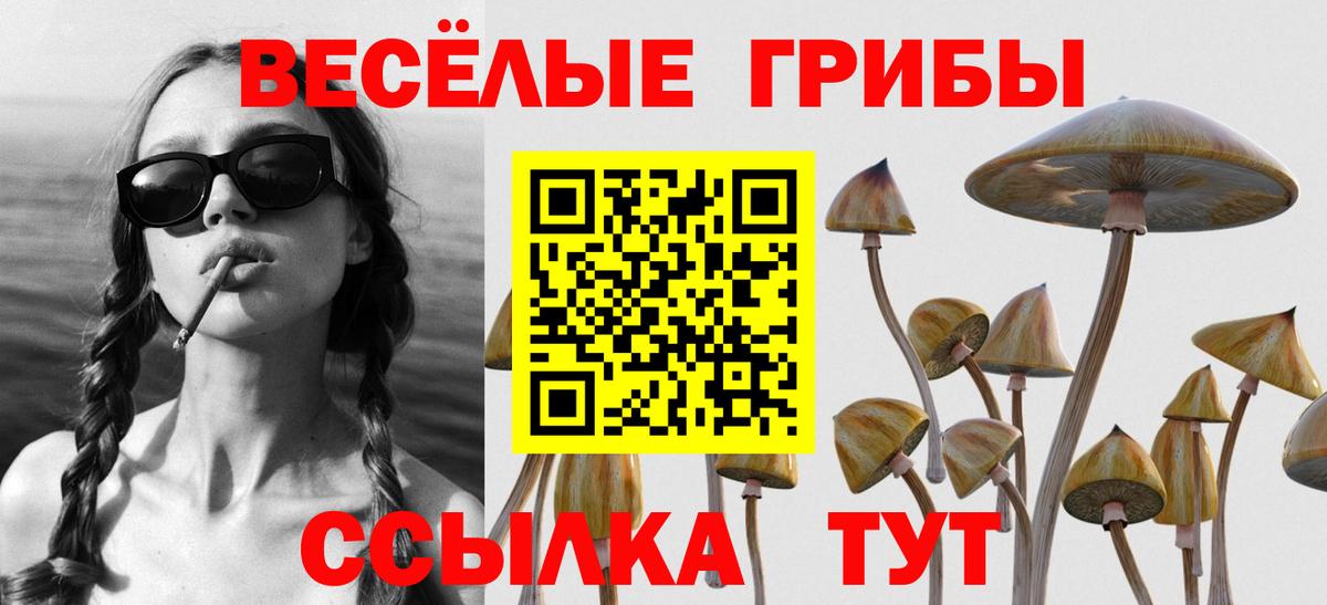 Галлюциногенные грибы мухоморы  Вход с VPN  Оренбург 